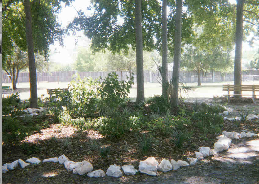  photo of an abstract design of white boulder rocks around small bushes and trees